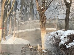 -水磨沟公园