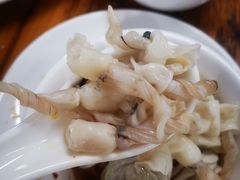 鲮鱼泡-章记正宗南岗鱼蛋火锅