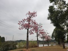 -中国移动南方基地