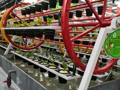 -兰陵国家农业公园