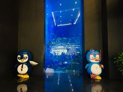 -成都浩海立方海洋公园