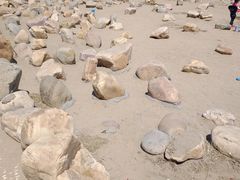 -绿岛公园(滨海新区)