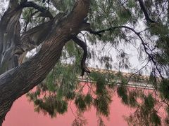 -北京市劳动人民文化宫(太庙)