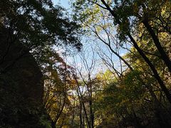 -玉渡山自然风景区