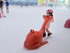-世界之窗阿尔卑斯冰雪世界