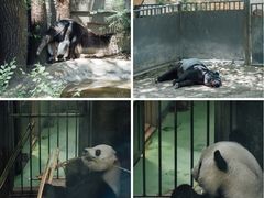 -皇家御河游(紫御湾码头)
