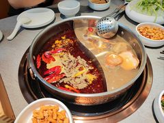 -菌自在·云南野生菌火锅(长安万达店)