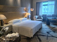 -西安赛瑞喜来登大酒店
