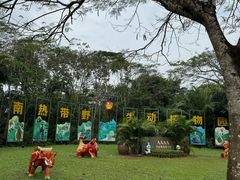 -海南热带野生动植物园