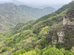 -大岭沟猕猴桃谷风景区