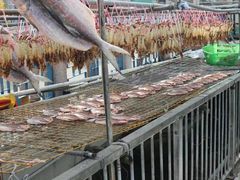 餐饮设施-大澳渔村及棚屋