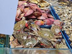 -双合园·海鲜水饺青岛菜(万佳广场店)