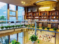 -了不起的考拉咖啡店(高新店)