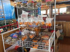 -蓝湾碧波·老字号·疍家非遗海上餐厅