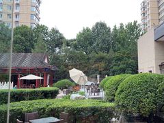 -咖啡CHA自助餐厅(香格里拉饭店)