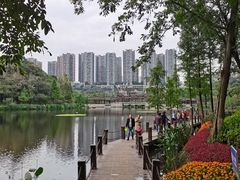 -重庆彩云湖湿地公园
