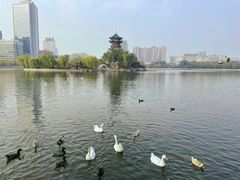-迎泽公园