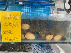 -阿弟特色海鲜餐厅·大排档(平潭店)