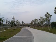 -坪山湿地公园