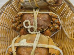 -蟹天蟹地农家菜·阳澄湖大闸蟹(浅水湾店)