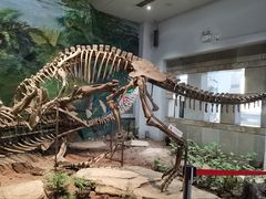 -自贡恐龙博物馆