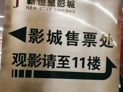 -上海金逸影城(静安大悦城店（原新恒星影城）)