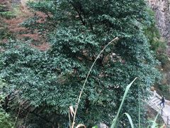 -雁荡山风景名胜区