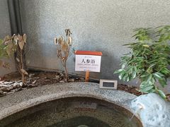 -河北霸州茗汤日月潭温泉