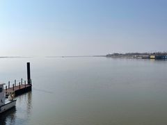 -洪湖湿地生态园