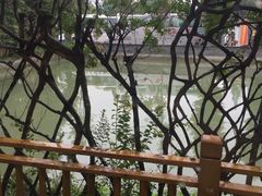 -水岸庭院·乡村柴火鸡