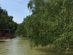 -大湾区中央湿地公园