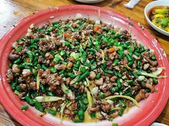 -东吴霸王兔(松青路店)