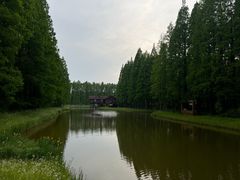 -黄海国家森林公园