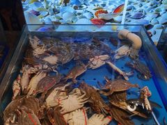 -尚宴牛特鲜自助(太原街万达店)