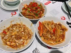 -壹盏灯(惠农店)