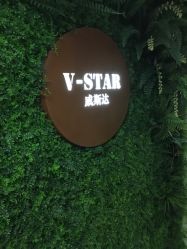 点击看大图 -V-STAR威斯达•高级私人定制