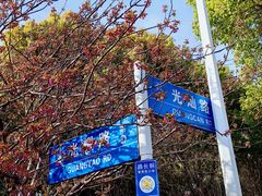 -高东镇樱花园