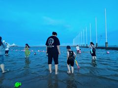 -碧海金沙