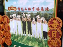 -大鸽饭(汉溪长隆店)