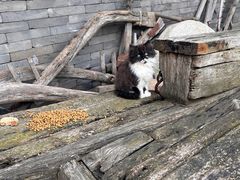 -金州副都统衙门博物馆