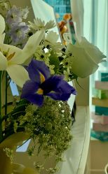 -海菲秀·飞顿牛奶光·LDM官方授权中心美轮美浣瓷感美肌