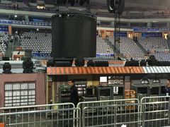 -南京奥林匹克体育中心-体育馆