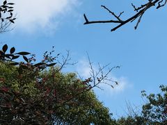 -山王坪喀斯特国家生态公园