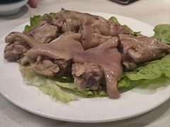 -丁老爷子苏香圆