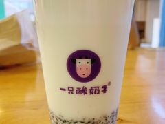 -一只酸奶牛(八一路店)