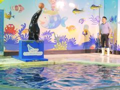 -太平洋海底世界