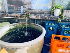 -核桃村(陇驾庄店)