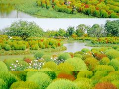 -花开海上生态园