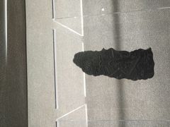 -徐汇艺术馆