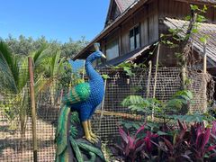 -西双版纳傣族园